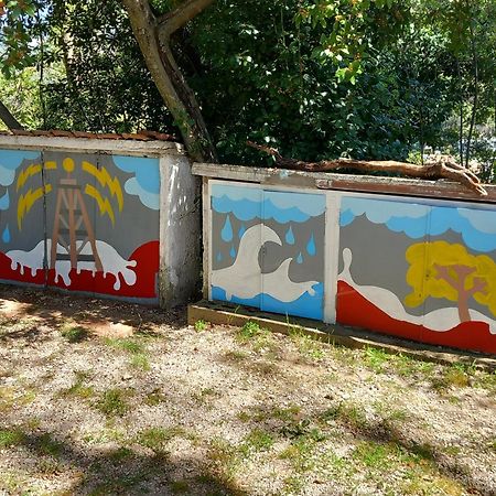 Casa Nel Verde Terni Dış mekan fotoğraf
